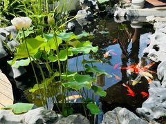 -道南書院·私房菜·早午茶·茶馆