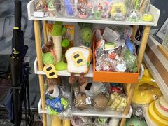 -爱妮康宠物医院·干细胞免疫细胞·肿瘤·心脏(张江店)