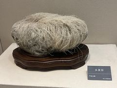 -安徽省地质博物馆