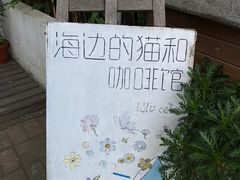 -海边的猫和咖啡馆
