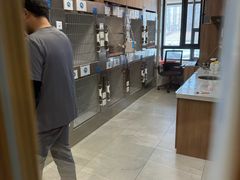 -北京派仕佳德动物医院·超导核磁·CT·神经科·骨科·内外科·急重症管理中心