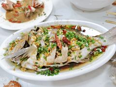 黑鲷-阿军排档·烧烤