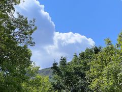 -鹫峰国家森林公园