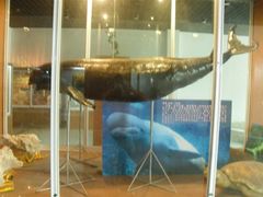 -南京金牛湖风景区