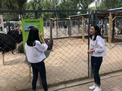 -长白岛森林公园