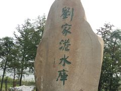 -江滩湿地公园
