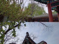 -荣国府