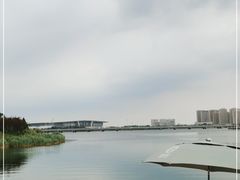 -天津金海湖