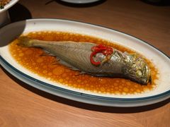 -波螺油子青岛本帮菜(银座店)