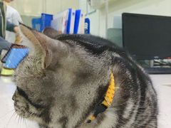-贝利宠物医院·骨科·眼科·肿瘤转诊中心(南坪诊疗中心)