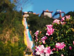 -东莞观音山旅游风景区