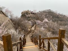 -大岭沟猕猴桃谷风景区