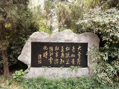 -中南财经政法大学(首义校区)