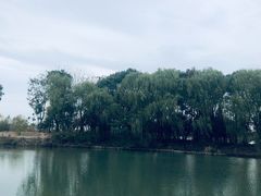 -梁鸿国家湿地公园