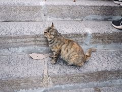 -终南山南五台景区