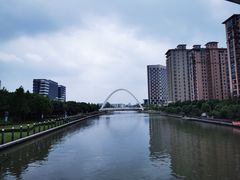 -陈家山荷花公园