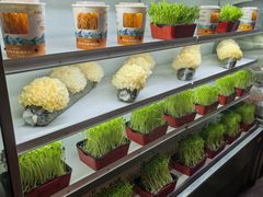 -番食园鲜食火锅(高新店)