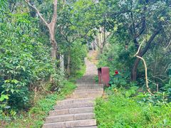 -水濂山森林公园