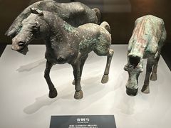 -邯郸市博物馆(新馆)