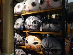 -猫咪博物馆(顶澳仔猫街店)