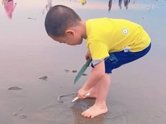 -奉贤海滩
