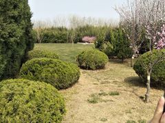 -郑州植物园