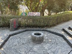 -上海佘山国家森林公园天马山园