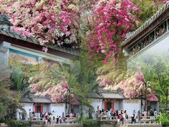 -深圳国际园林花卉博览园