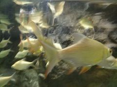 -多彩贵州城极地海洋世界