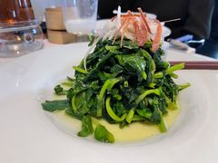 火丝银芽豆苗-江南雅厨(李公堤店)