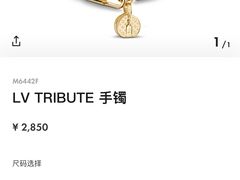 -LV路易威登(大兴国际机场店)