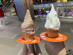 -野人先生现做冰淇淋(北京环宇荟店)