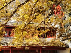 -大慈岩风景区