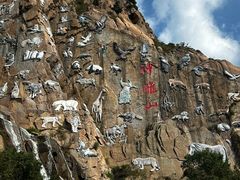 -西霞口神雕山野生动物世界