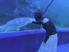 -左海海底世界