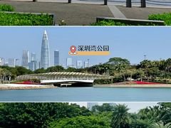 -大梅沙海滨公园