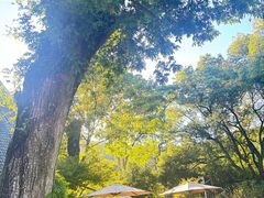 -杭州花家山庄