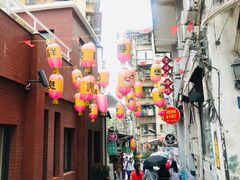 -猫咪博物馆(顶澳仔猫街店)