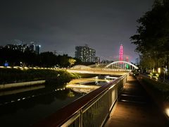 -福田红树林生态公园