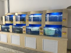 水产区-锋味餐厅(空港复悦里店)