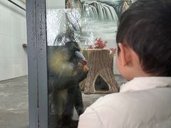 -西安秦岭野生动物园