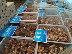 -双井轩(双井店)