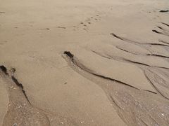-椰风寨