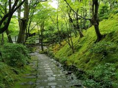 -常寂光寺