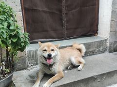 -前童古镇