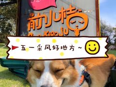 -前小桔亲子创意农场·草莓采摘·露营烧烤