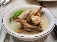 -顺德公猪肚鸡·椰子鸡(惠东天虹店)