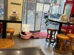 -卓粤拉肠(红庙店)