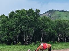 -灵山
