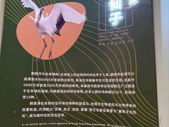 -盐城丹顶鹤湿地生态旅游区